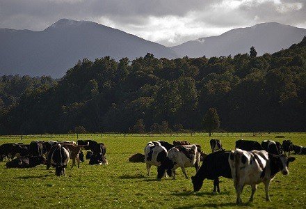 Dairy Farm Daughter Wins Court Battle For Share Of Farm
